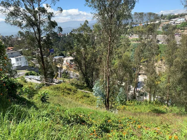Venta Terrenos en Cumbayá — imagen 4