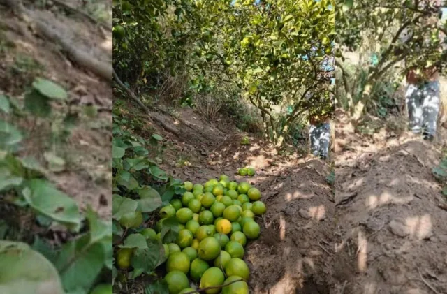 Terreno en Venta en Guayllabamba — imagen 3