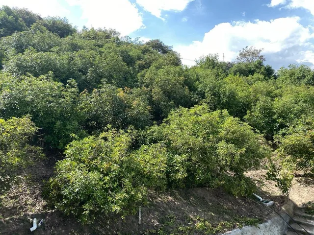 Terreno en Venta en Guayllabamba — imagen 2