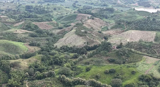 Terreno en Manabí, El Carmen Parroquia Santa Maria. La Bramadora Hacienda Bombom. Manabí — imagen 2