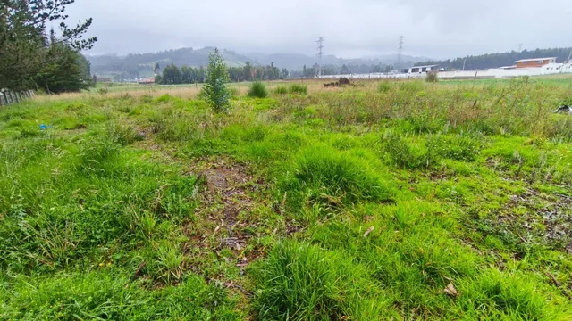 Terreno Comercial en Vía Al Parque Nacional Cotopaxi, Cotopaxi — imagen 2