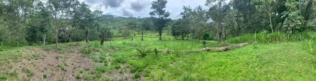 En Venta 32 Has en Shalcana, Napo, Napo — imagen 4