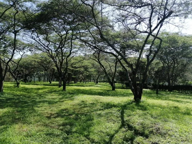 Venta en Cumbayá en Pillahua Terreno Plano y Dentro de Urbanización de Primera — imagen 4