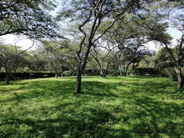 Venta en Cumbayá en Pillahua Terreno Plano y Dentro de Urbanización de Primera — imagen 2