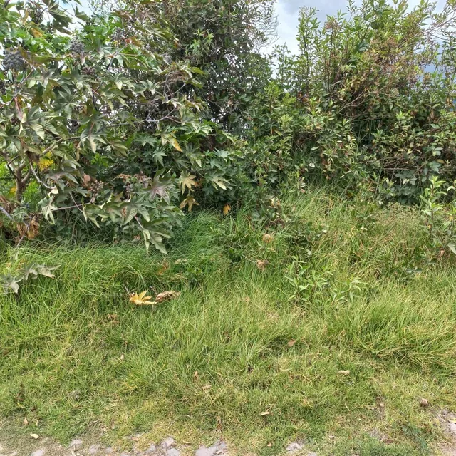 Terreno en Atuntaqui, Imbabura — imagen 2