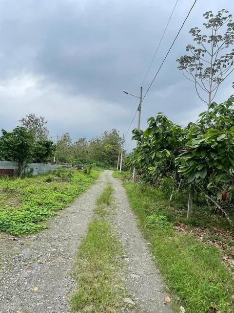 Vendo Terreno en El Cantón La Troncal — imagen 3