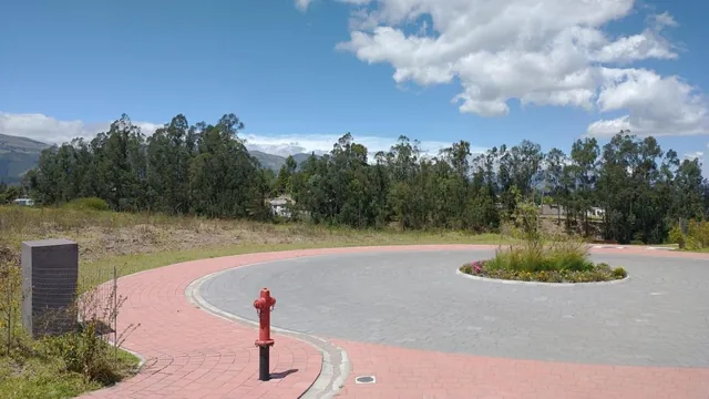 Terrenos en La Recta de Puembo a Pifo a Unos 350 m de La Interoceanica — imagen 4