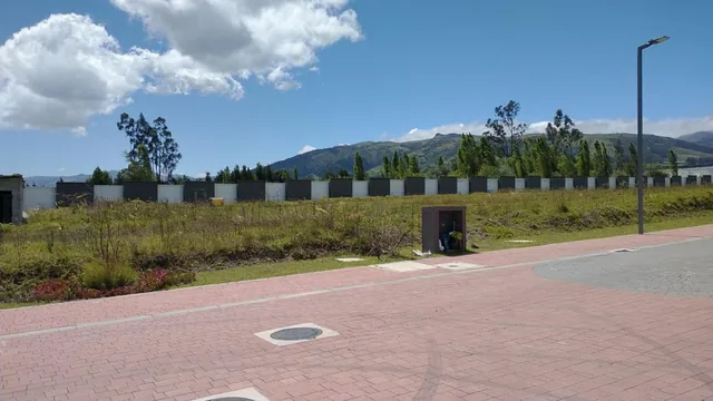 Terrenos en La Recta de Puembo a Pifo a Unos 350 m de La Interoceanica — imagen 2