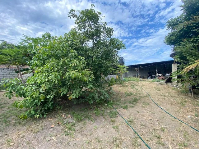 Terreno de Venta en Manta Zona Norte, Manabí — imagen 3