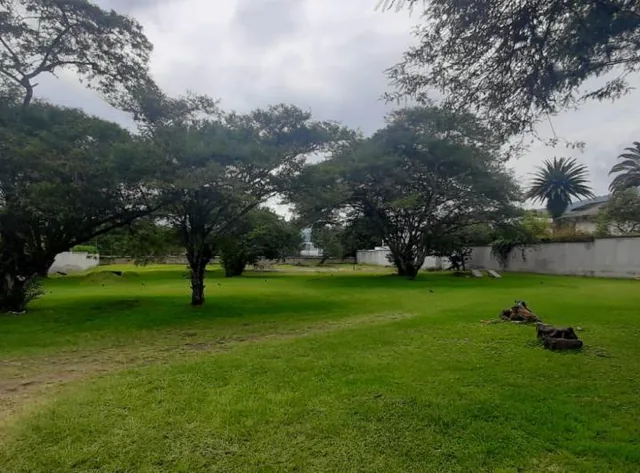 Venta Terreno en Tumbaco Sector La Viña Inf. Cbr Carla del Pino — imagen 4
