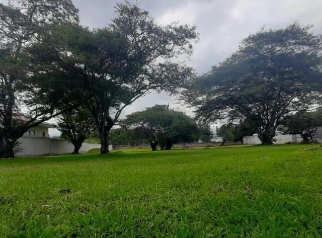 Venta Terreno en Tumbaco Sector La Viña Inf. Cbr Carla del Pino — imagen 3