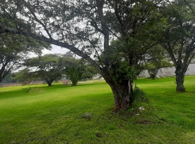 Venta Terreno en Tumbaco Sector La Viña Inf. Cbr Carla del Pino — imagen 2