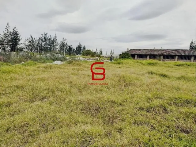 Vendo Terreno 6.809,70 m² Tababela Ideal Proyecto Inmobiliario — imagen 4
