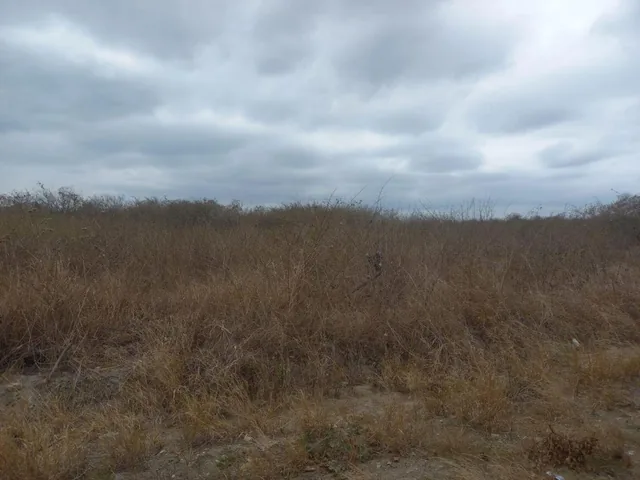Terreno de Venta en Montecristi Zona Norte, Manabí — imagen 4