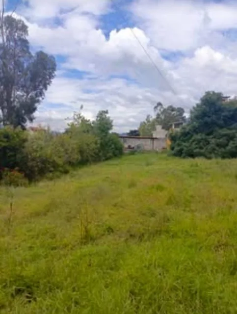 Terreno de Venta Terreno de 1000 m², con Construcción Sector Capelo Valle de Los Chillos — imagen 4