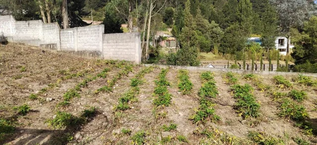 Terreno en Venta Sector Peaje Barrio Buenos Aires — imagen 4