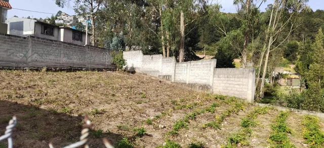 Terreno en Venta Sector Peaje Barrio Buenos Aires — imagen 3