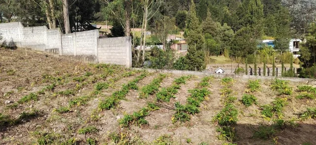 Terreno en Venta Sector Peaje Barrio Buenos Aires — imagen 2