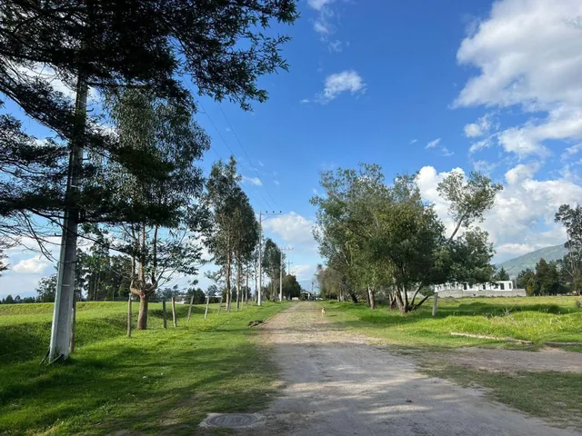 Mv - Sector Pifo, en Venta Lote de Terreno 2528.45 m², Dentro de Urbanizacion — imagen 2