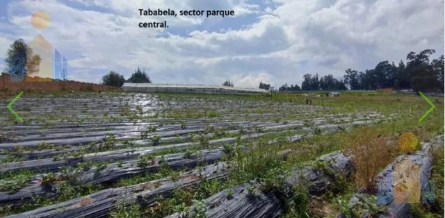 Venta de Terreno 6.578 m², Tababela, Cerca Al Parque Central. Provincia de Pichincha — imagen 4