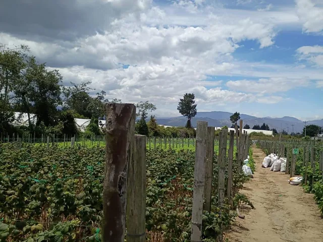 Terreno Entre El Quinche y Guayllabamba — imagen 5