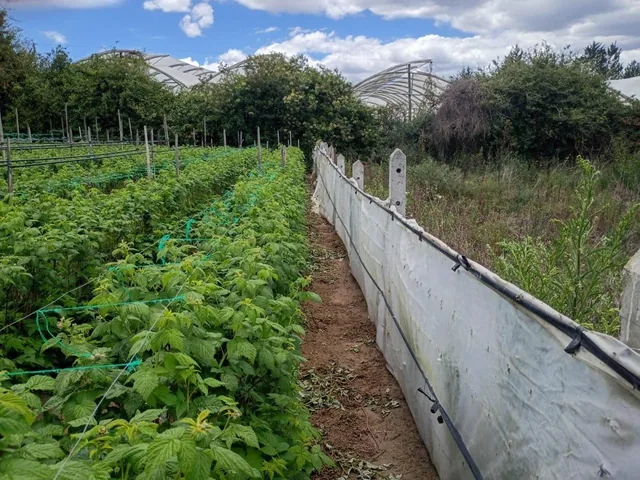 Terreno Entre El Quinche y Guayllabamba — imagen 4