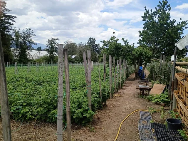 Terreno Entre El Quinche y Guayllabamba — imagen 3