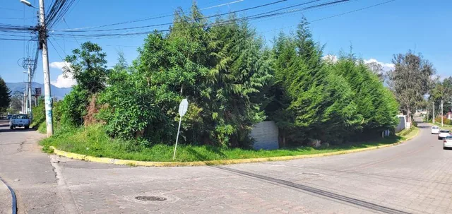 Venta de Terreno en Tababela, Esquinero Cerca de Vías Principales — imagen 2