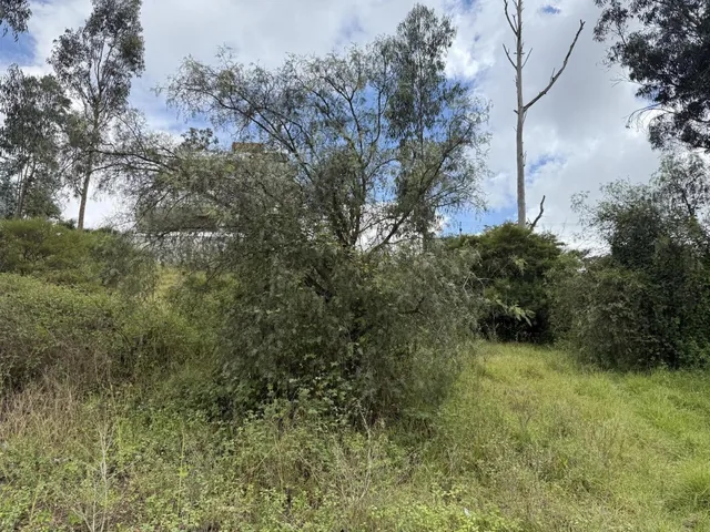 Terreno en Venta en Plena Vía Principal — imagen 2