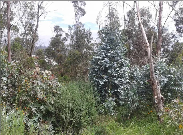 Miravalle. Hermoso Lote Ideal Para Constructores — imagen 5