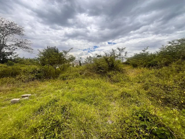 Terreno de Venta en Puembo en Urbanización Via Arrayanes — imagen 4