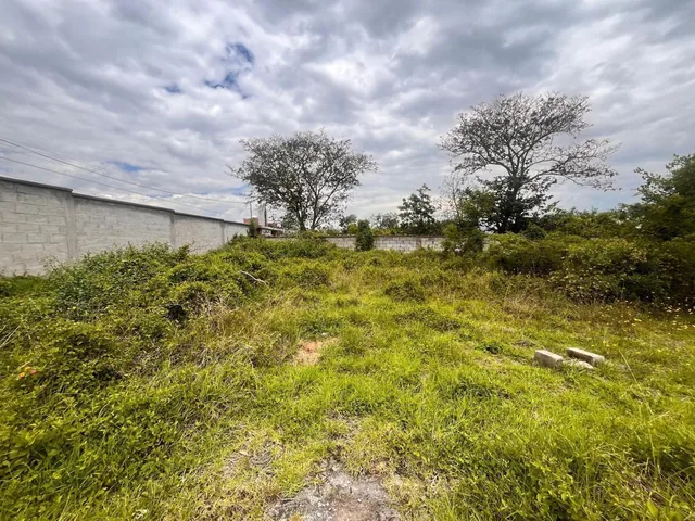 Terreno de Venta en Puembo en Urbanización Via Arrayanes — imagen 3