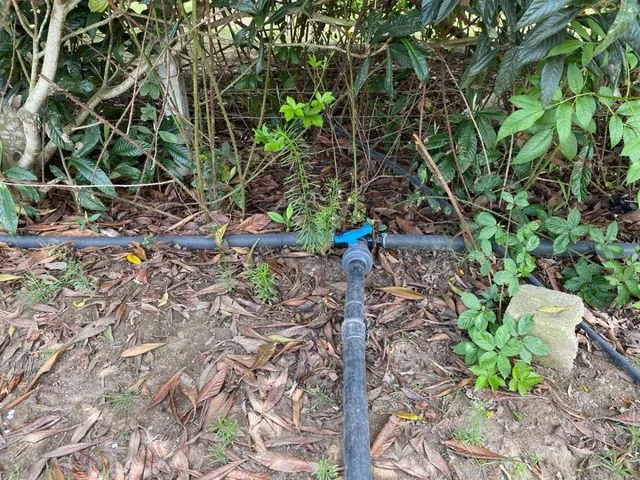 Venta Terreno en Guayllabamba — imagen 2