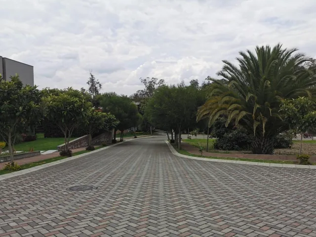 Terreno en Venta Puembo 930 m² Cerca Al Parque Central — imagen 4
