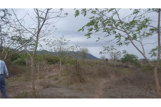 Terreno en Venta Los Bajos de La Palma Montecristi, Manabí — imagen 2