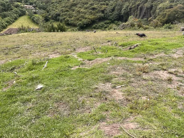 Terreno de 3579 m² de Venta en Pifo en Urbanización — imagen 5