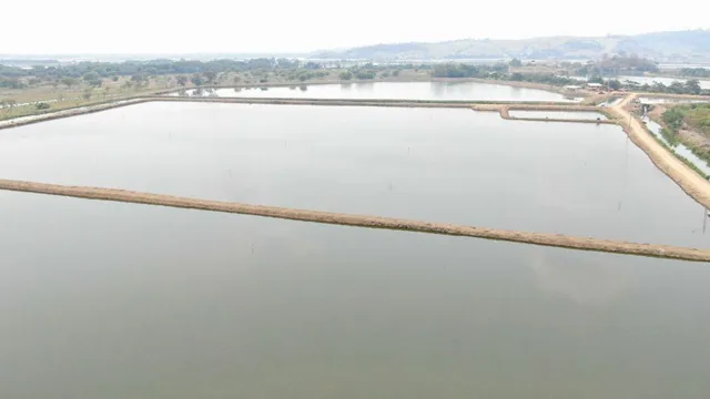Camaronera de Venta en Chone Manabi, Manabí — imagen 5