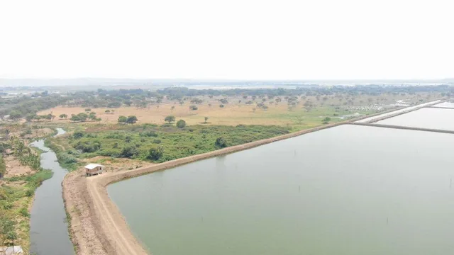 Camaronera de Venta en Chone Manabi, Manabí — imagen 4