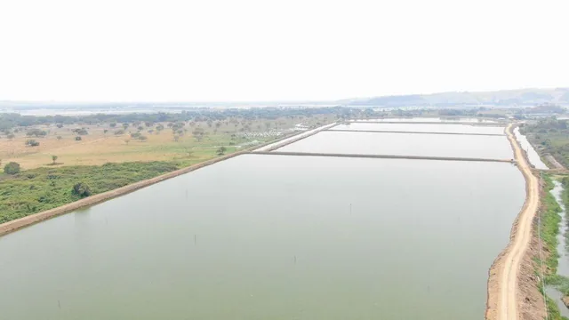 Camaronera de Venta en Chone Manabi, Manabí — imagen 3