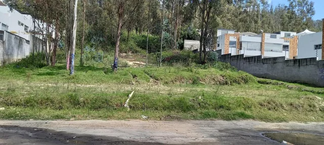 Terreno 2.500 m² - La Armenia - Valle de Los Chillos — imagen 5