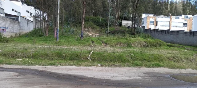Terreno 2.500 m² - La Armenia - Valle de Los Chillos — imagen 4