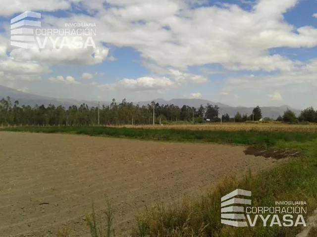 Tababela, Terreno de Venta Totalmente Plano 5 Has — imagen 5