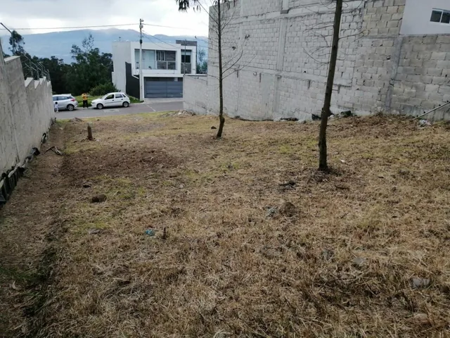 Venta de Terreno — imagen 2