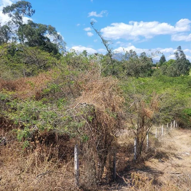 Terreno de Venta en Puembo, Zona Arrayanes — imagen 3