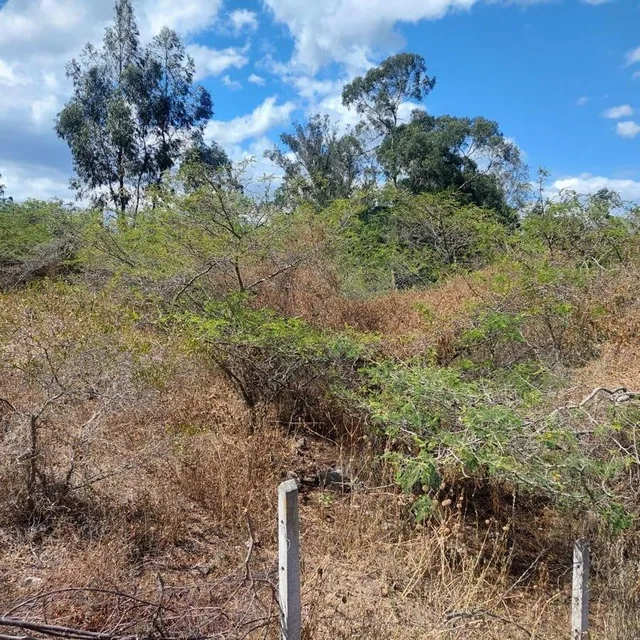 Terreno de Venta en Puembo, Zona Arrayanes — imagen 2