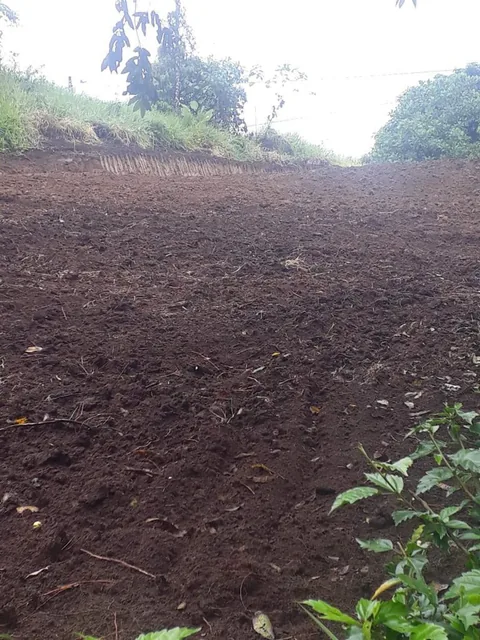 Terreno de Venta en Pedro Vicente Maldonado de 1245 m² — imagen 3