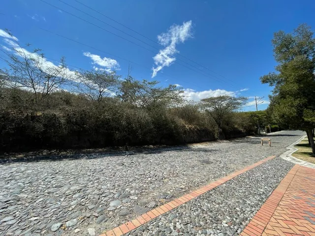 Terreno de Venta en Tumbaco Sector La Viña Alta — imagen 3