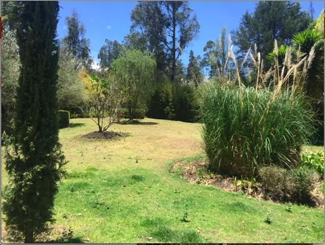 Los Chillos Alangasi Terreno en Venta con Casa de Campo — imagen 5
