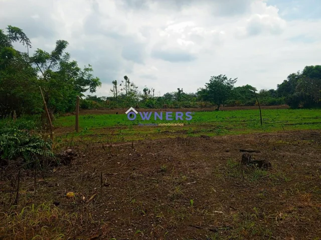 Venta Terreno Km 26 Via Duran Yaguachi a Lado del Iniap (Age), Guayas — imagen 2