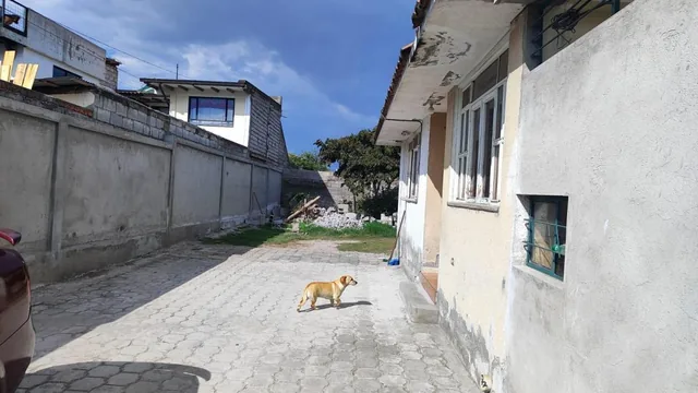 En Venta Terreno con Casa Para Proyecto San Isidro — imagen 5